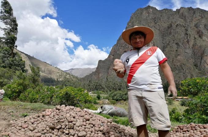 Working the lands of Sacred Valley of Incas